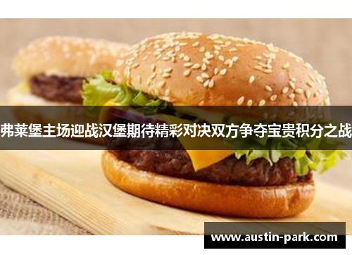 弗莱堡主场迎战汉堡期待精彩对决双方争夺宝贵积分之战